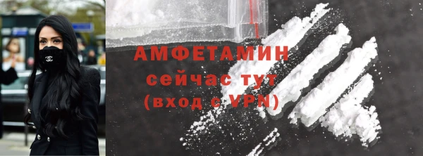 шишки Абаза
