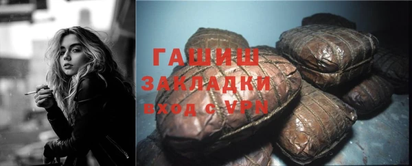шишки Абаза