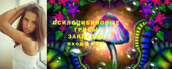 шишки Абаза