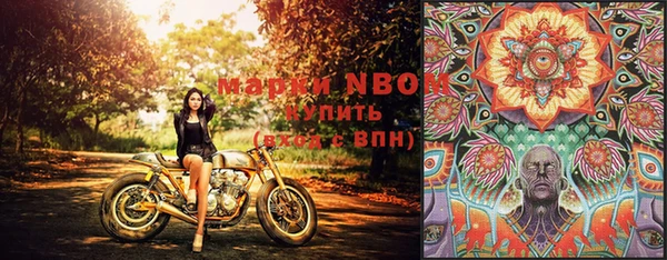 шишки Абаза