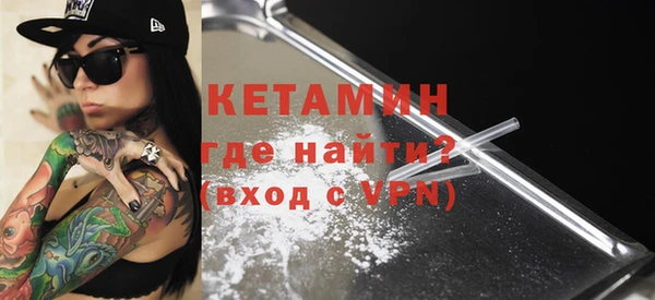 шишки Абаза
