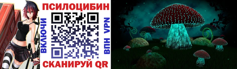 Галлюциногенные грибы Cubensis Тула